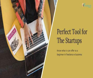 What Freelancer Clone Script has to Offer to Its Beginners?