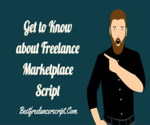 Get to Know about the Best Freelance Marketplace Script