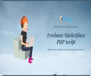 Make Freelance eBusiness Easy with a Freelancer Clone Script