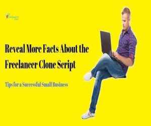 Reveal More Facts About the Freelancer Clone Scripts
