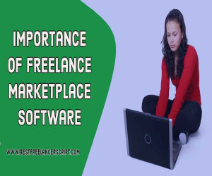 What is the Importance of Freelance Marketplace Software?