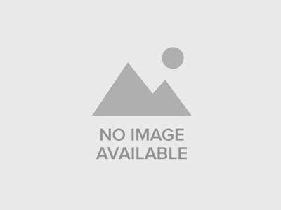 How to Build a Freelance Platform That Attracts Both Clients and Freelancers